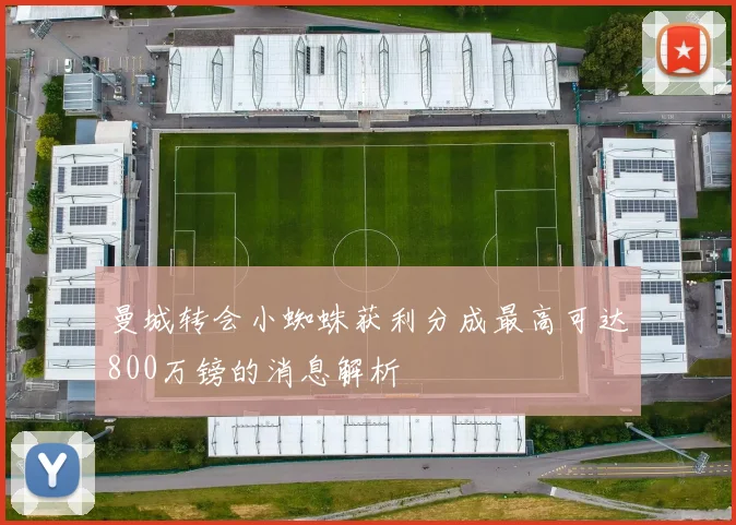 曼城转会小蜘蛛获利分成最高可达800万镑的消息解析