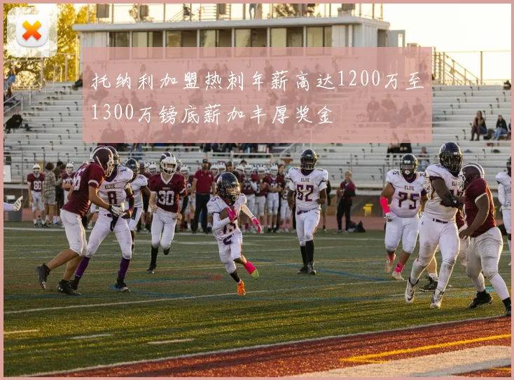 托纳利加盟热刺年薪高达1200万至1300万镑底薪加丰厚奖金