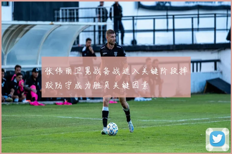 张伟丽卫冕战备战进入关键阶段摔跤防守成为胜负关键因素