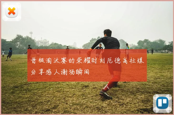晋级淘汰赛的荣耀时刻厄德高社媒分享感人谢场瞬间